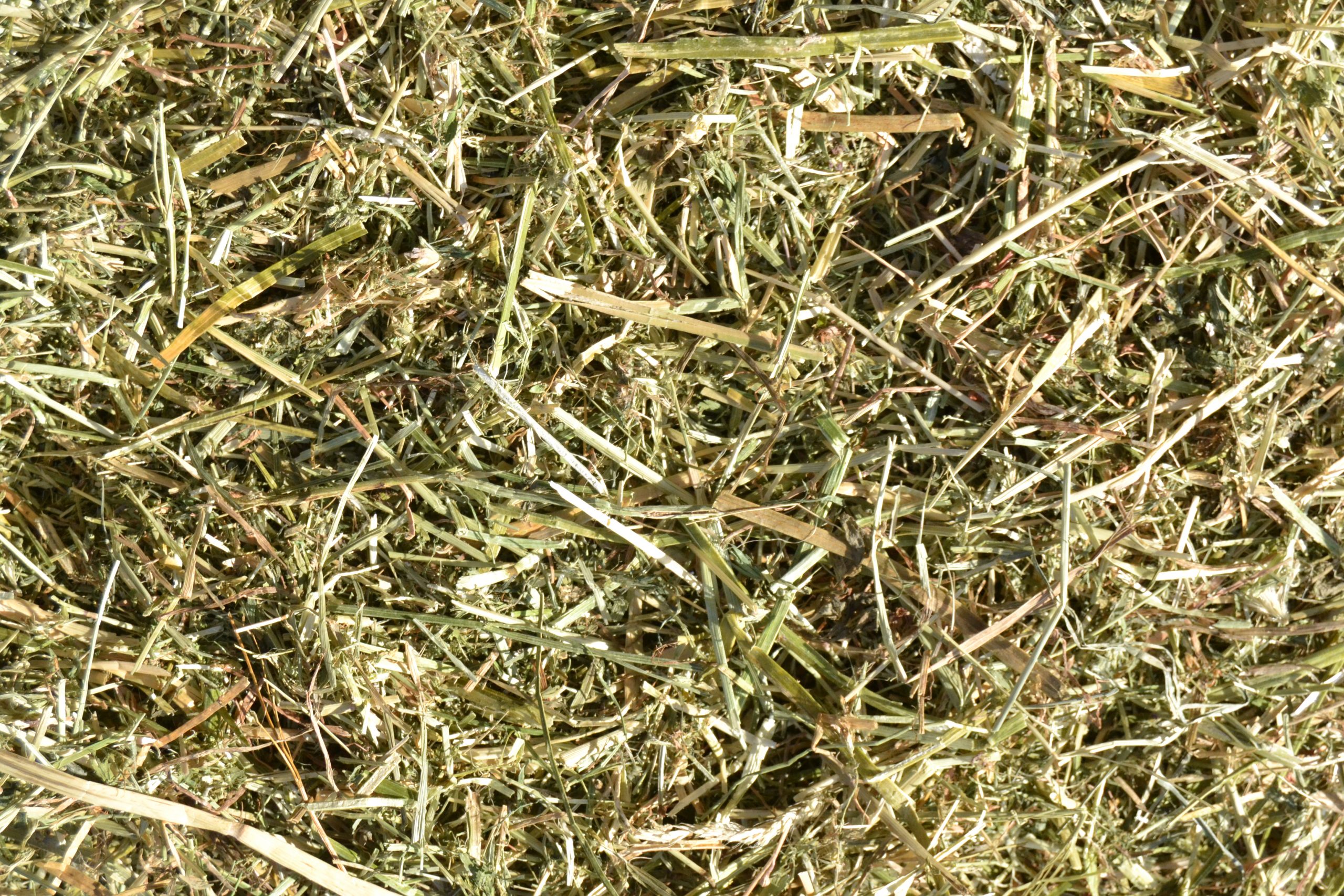 Heu - Kleinballen 25kg – Bild 2