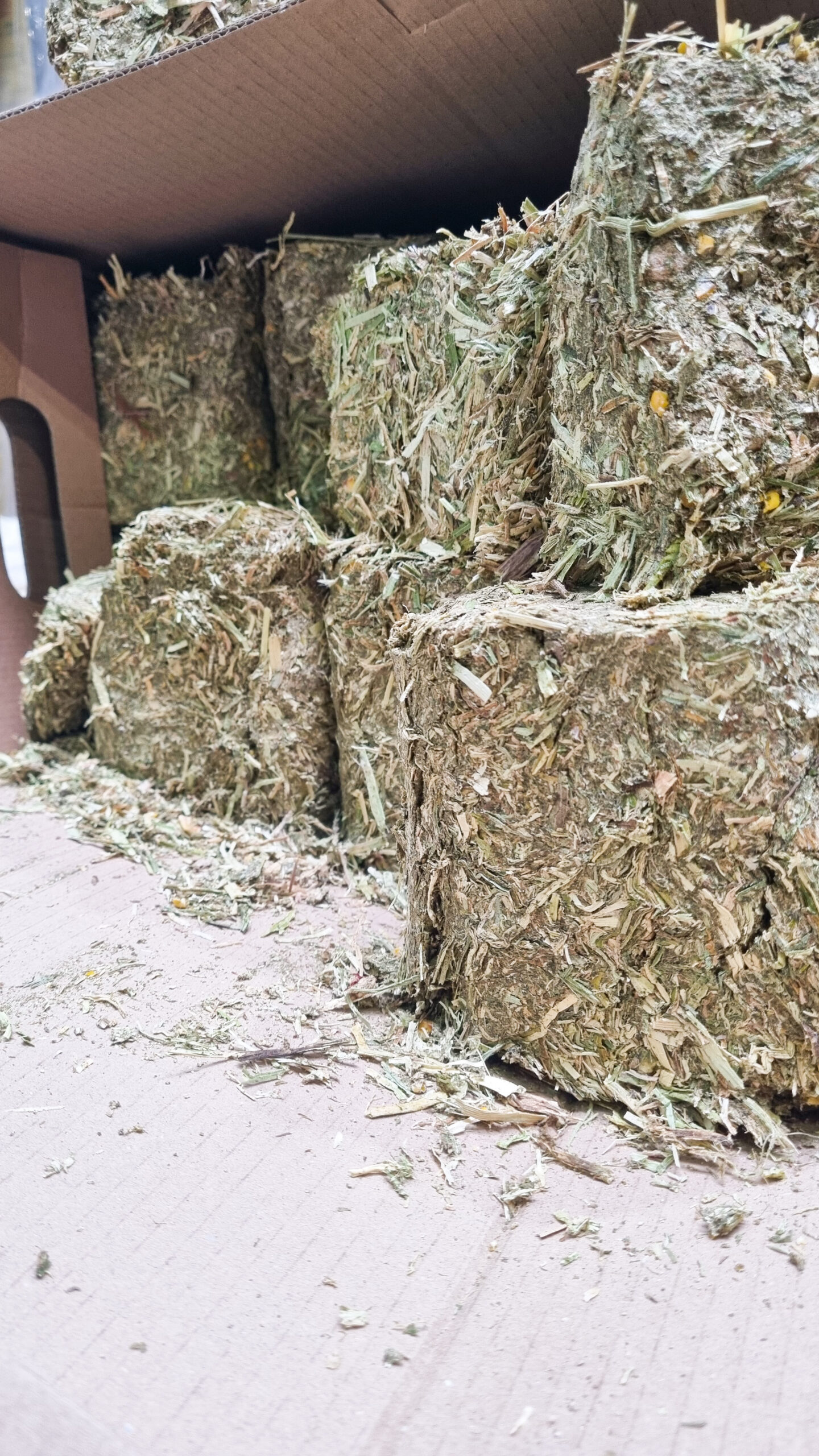 Horse Brics, Karton à 25 kg – Bild 2