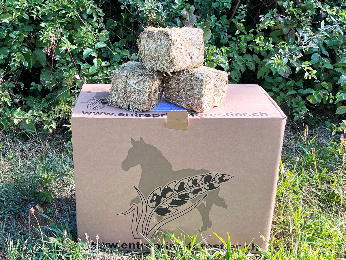 Unsere Spezialität "Horse Brics" ist ein speziell für staubempfindliche Tiere entwickeltes Nahrungsergänzungsmittel. Es kann zur Grundernährung oder als Nahrungsergänzungsmittel verwendet werden. Seine kompakte, würfelförmige Struktur zwingt das Pferd dazu, sich Zeit für den Genuss seiner Mahlzeit zu nehmen und beugt so bestimmten Verdauungsproblemen vor. Seine Schmackhaftigkeit und benutzerfreundliche Handhabung sind die Hauptvorteile dieses Produkts. Unser Futtersortiment auf Basis regionaler Getreidesorten erfüllt die spezifischen Bedürfnisse von Freizeitpferden.