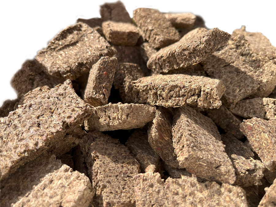 Immune Bites getreidefrei 3 kg – Bild 2